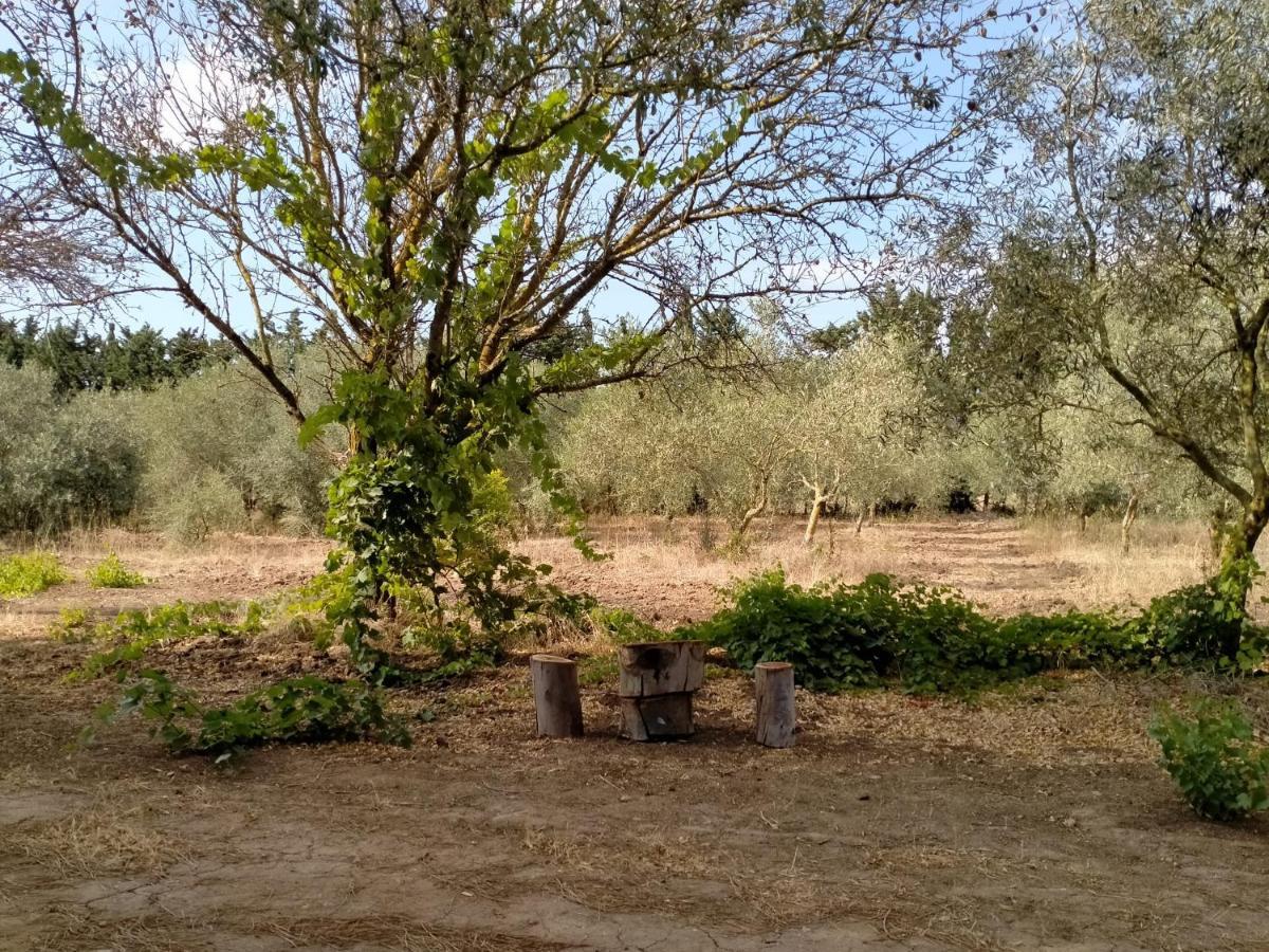 Càbras Casa Margherita מראה חיצוני תמונה